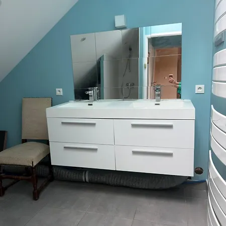 Grande Maison Familiale A Avec Piscine * Nantes