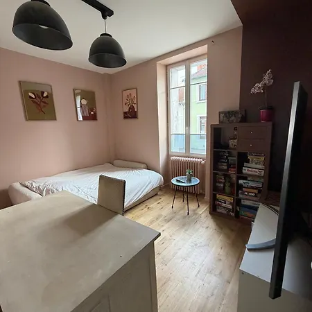 Grande Maison Familiale A Avec Piscine * Nantes